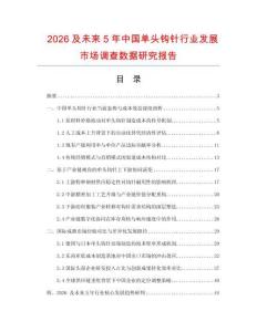 2026及未來5年中國單頭鉤針行業(yè)發(fā)展市場調查數(shù)據(jù)研究報告