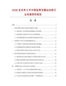 2026及未來5年中國低筒毛圈運動襪行業(yè)發(fā)展研究報告