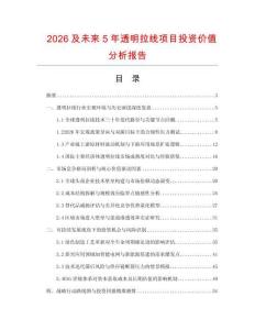 2026及未来5年透明拉线项目投资价值分析报告