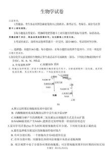 西南名校聯盟2026屆3+3+3高三4月聯考生物試卷+答案