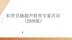 肛管直腸超聲檢查專家共識(2026版)
