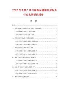 2026及未來5年中國鋼絲螺套安裝扳手行業(yè)發(fā)展研究報告
