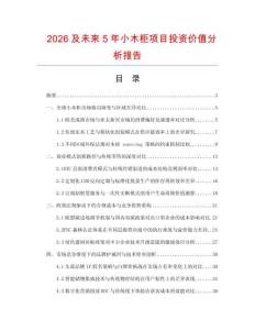 2026及未來5年小木柜項(xiàng)目投資價值分析報告