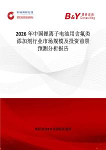 2026年中國鋰離子電池用含氟類添加劑行業市場規模及投資前景預測分析報告