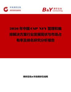 2026年中国CSP NFV管理和编排解决方案行业发展现状与市场占有率及排名研究分析报告