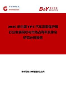 2026年中国TPU汽车漆面保护膜行业发展现状与市场占有率及排名研究分析报告