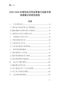 2025-2030年便利店日用品零售行業數字營銷策略分析研究報告