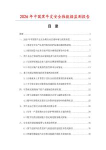 2026年中國黑牛皮安全鞋數據監測報告