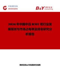 2026年中國中壓RMU柜行業發展現狀與市場占有率及排名研究分析報告