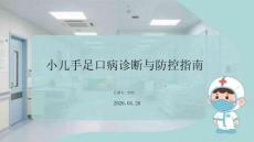 小兒手足口病診斷與防控指南