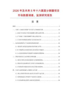 2026年及未來5年十六畫面分割器項目市場數據調查、監測研究報告