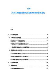 2025-20305G專網建設需求與行業解決方案市場分析報告