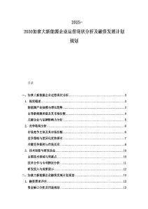 2025-2030加拿大新能源企業運營現狀分析及融資發展計劃規劃