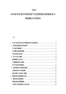 2025-2030多米尼加共和國電商產(chǎn)業(yè)發(fā)展現(xiàn)狀及跨境貿(mào)易與物流整合分析報告