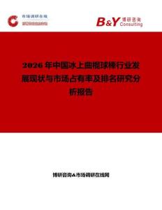 2026年中國冰上曲棍球棒行業發展現狀與市場占有率及排名研究分析報告