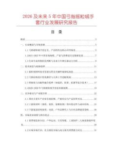 2026及未來(lái)5年中國(guó)弓指搖粒絨手套行業(yè)發(fā)展研究報(bào)告