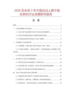 2026及未來5年中國自動上膠中底包條機行業發展研究報告