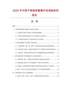 2025年中國不銹鋼寬幅鋤市場調查研究報告