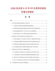2026及未來5-10年P(guān)P扎帶項(xiàng)目投資價(jià)值分析報(bào)告