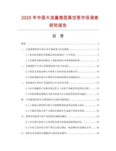 2025年中國大流量微型真空泵市場調查研究報告