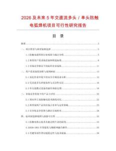 2026及未來5年交直流多頭／單頭防觸電弧焊機項目可行性研究報告
