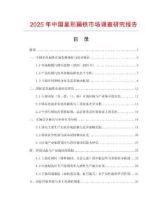 2025年中國(guó)星形扁鐵市場(chǎng)調(diào)查研究報(bào)告