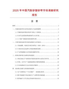 2025年中國汽脹砂鼓砂帶市場調查研究報告