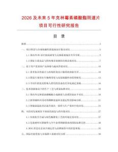 2026及未來5年克林霉素磷酸酯陰道片項目可行性研究報告