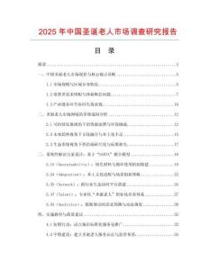 2025年中國圣誕老人市場調查研究報告