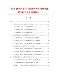 2026及未來5年中國黑云母市場現狀數據分析及前景預測報告