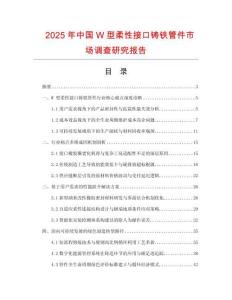 2025年中國W型柔性接口鑄鐵管件市場調查研究報告