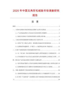 2025年中國五角形毛絨墊市場調查研究報告