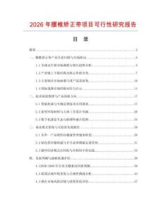 2026年腰椎矯正帶項目可行性研究報告