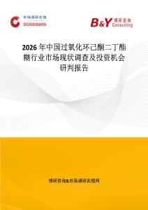2026年中國過氧化環己酮二丁酯糊行業市場現狀調查及投資機會研判報告