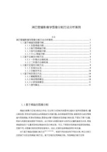 《【淋巴管瘤影像學圖像分割方法分析案例】7200字》