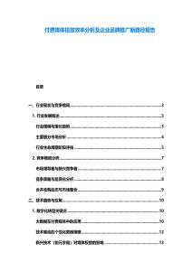 付费媒体投放效率分析及企业品牌推广新路径报告