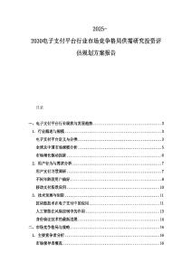2025-2030电子支付平台行业市场竞争格局供需研究投资评估规划方案报告