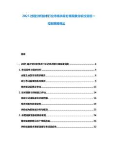 2025過程分析技術行業市場供需分離現象分析投資統一控制策略得出