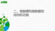 學(xué)考復(fù)習(xí)2 細(xì)胞膜和細(xì)胞壁的結(jié)構(gòu)和功能
