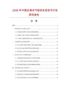 2026年中國(guó)全棉冷氣毯項(xiàng)目投資可行性研究報(bào)告
