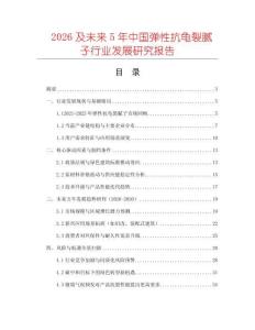 2026及未來5年中國彈性抗龜裂膩子行業發展研究報告