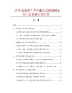 2026及未來5年中國孔式單面展示架行業發展研究報告