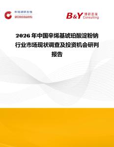 2026年中國辛烯基琥珀酸淀粉鈉行業市場現狀調查及投資機會研判報告