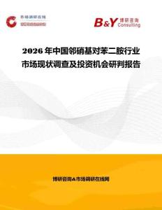 2026年中國鄰硝基對苯二胺行業(yè)市場現(xiàn)狀調查及投資機會研判報告
