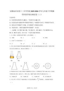 安徽池州市第十二等校2025-2026学年九年级下学期数学阶段学情自测试卷（三）【含答案】