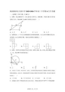 湖南株洲市醴陵市明月镇中心2025-2026学年九年级下学期4月学情自测数学试题【含答案】