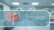基層狼瘡性腎炎防治指南（2025版）解讀