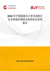 2026年中國通道式大米色選機行業市場現狀調查及投資機會研判報告