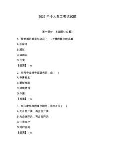 2026年個人電工考試試題（輕巧奪冠）
