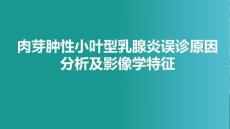 肉芽腫性小葉型乳腺炎誤診原因分析及影像學特征